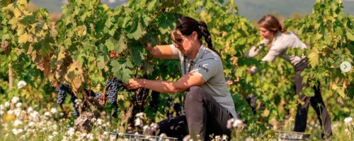 Návrh bez názvu (8)